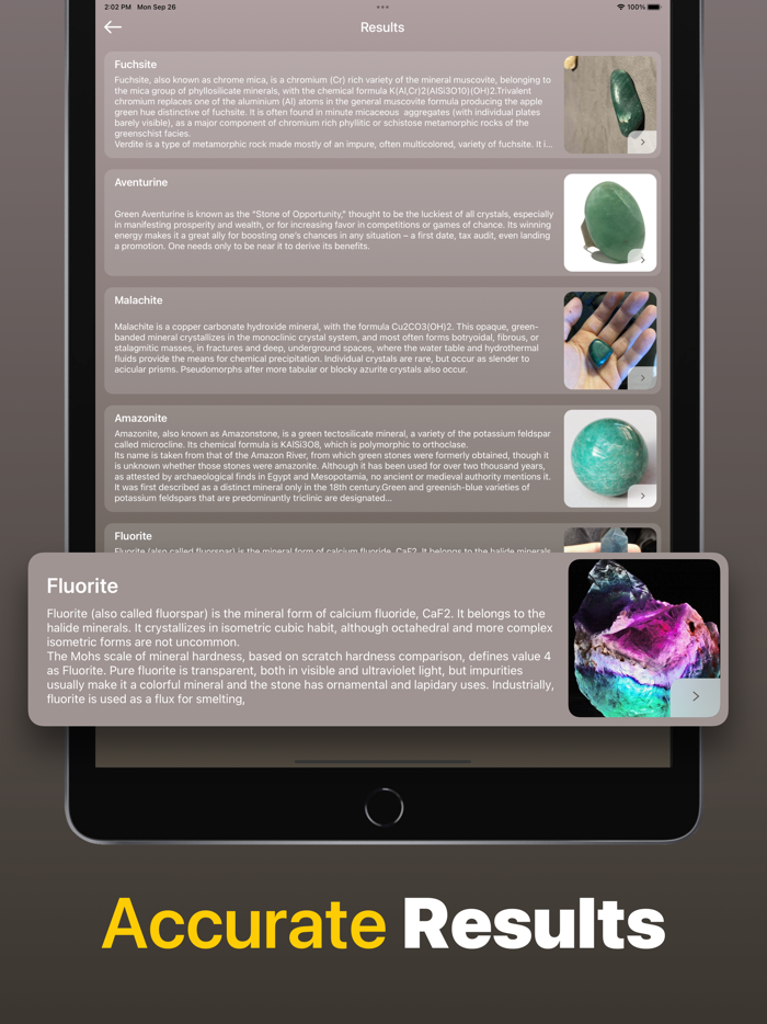 Stone Identifier Rock Scanner