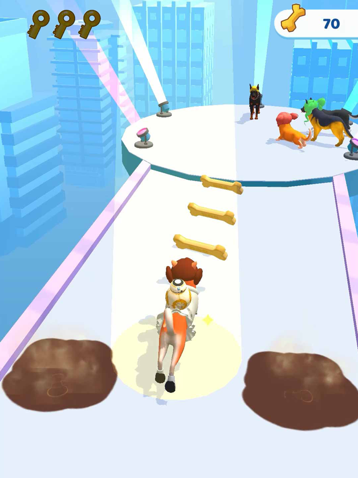 Groomer run 3D
