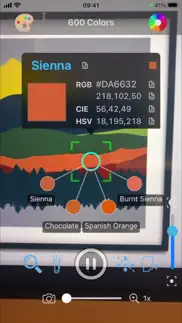 color name recognizer camera iphone screenshot 2