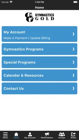 Game screenshot Gymnastics Gold apk