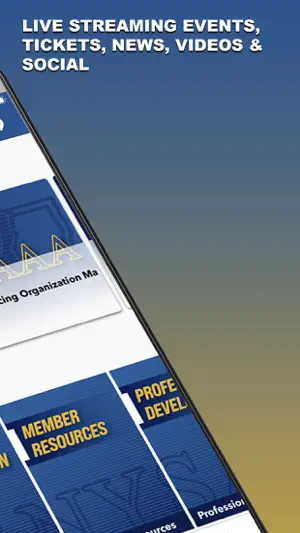 NYSAAA screenshot 2