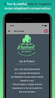 eat like elephant problems & solutions and troubleshooting guide - 4