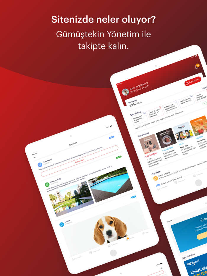 Gümüştekin Yönetim