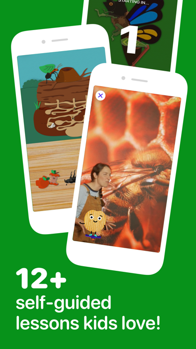 Fun Insects & Bugs for Kidsのおすすめ画像3