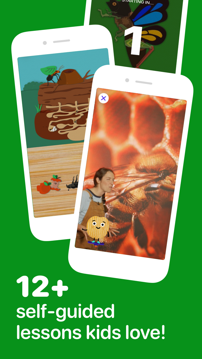 Fun Insects and Bugs for Kids