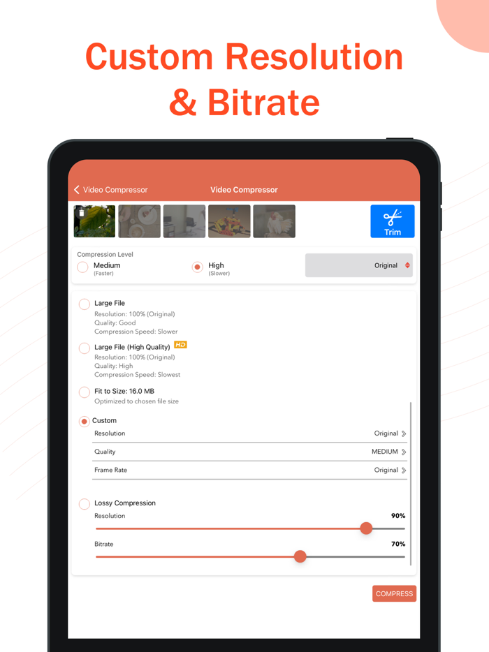 Video Compressor and Converter