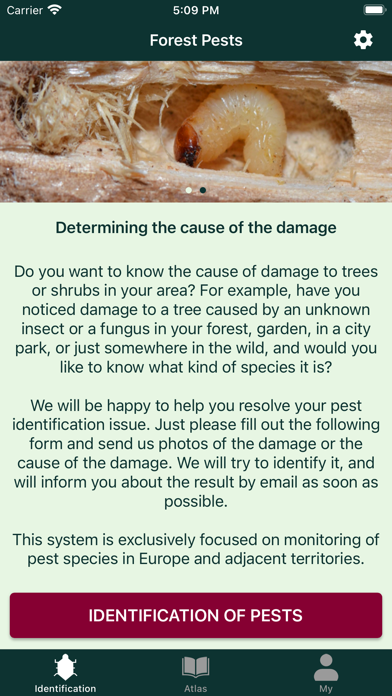 Forest Pests Screenshot