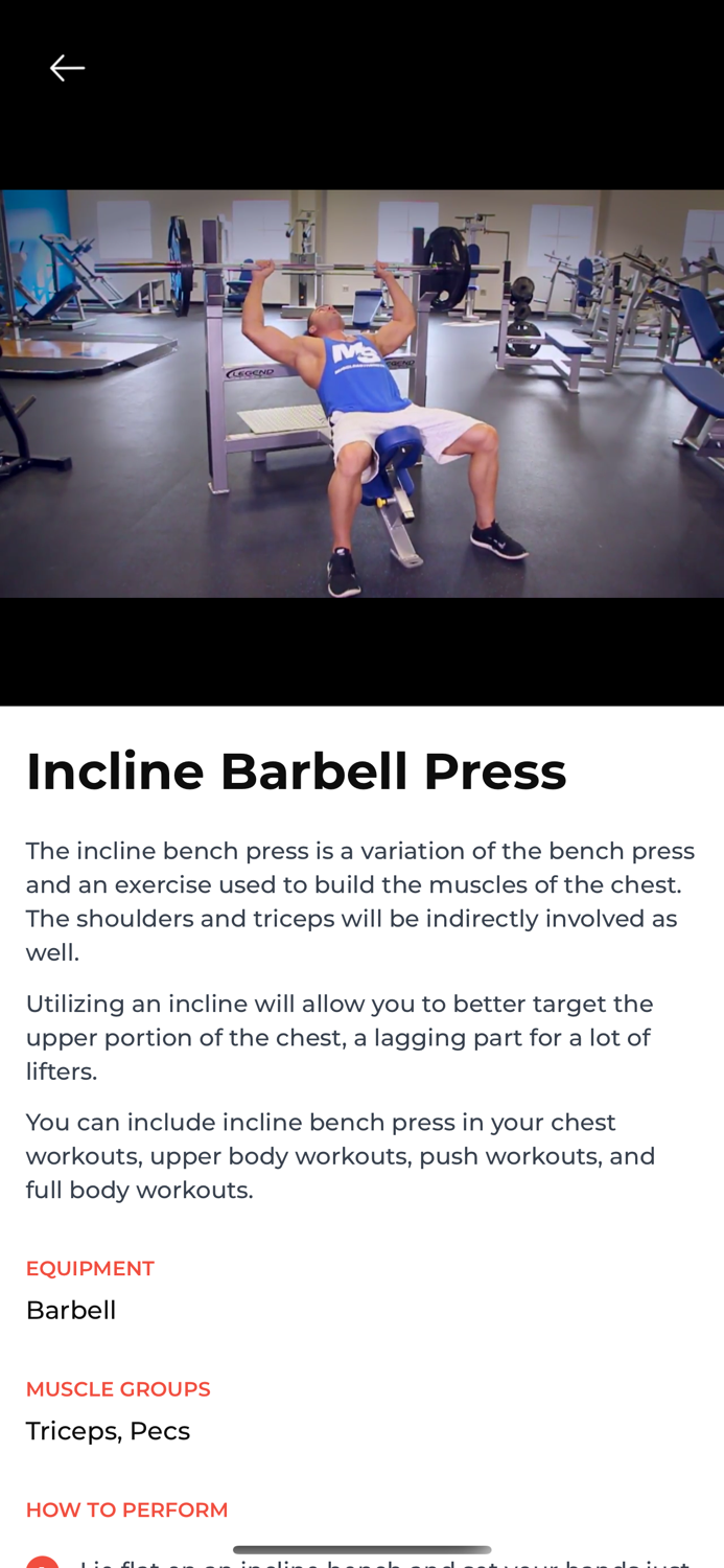 Transform With Workouts