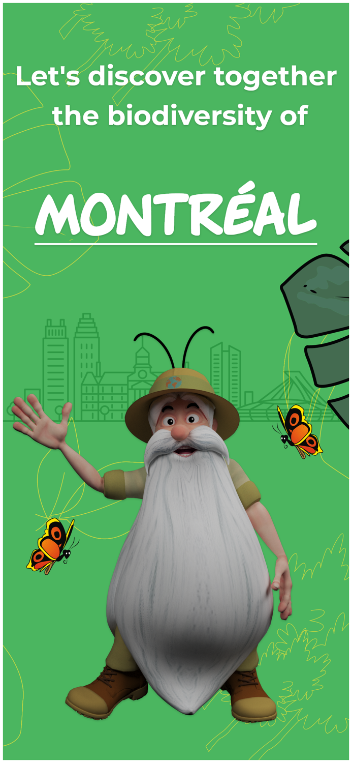 Hello Maestro Montréal