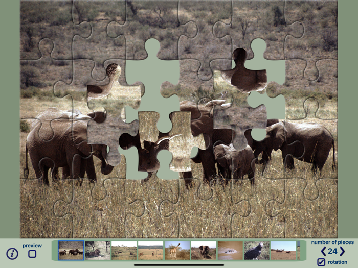 African Wildlife Puzzles