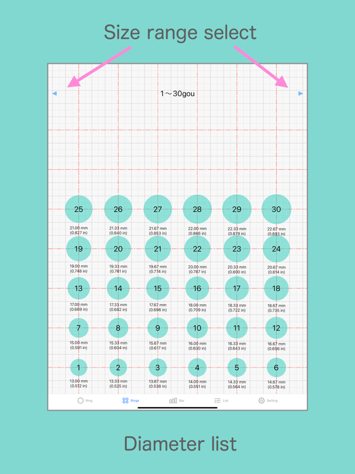 Ring Sizer for Japan