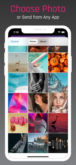 Game screenshot PanoraVideo for Instagram apk