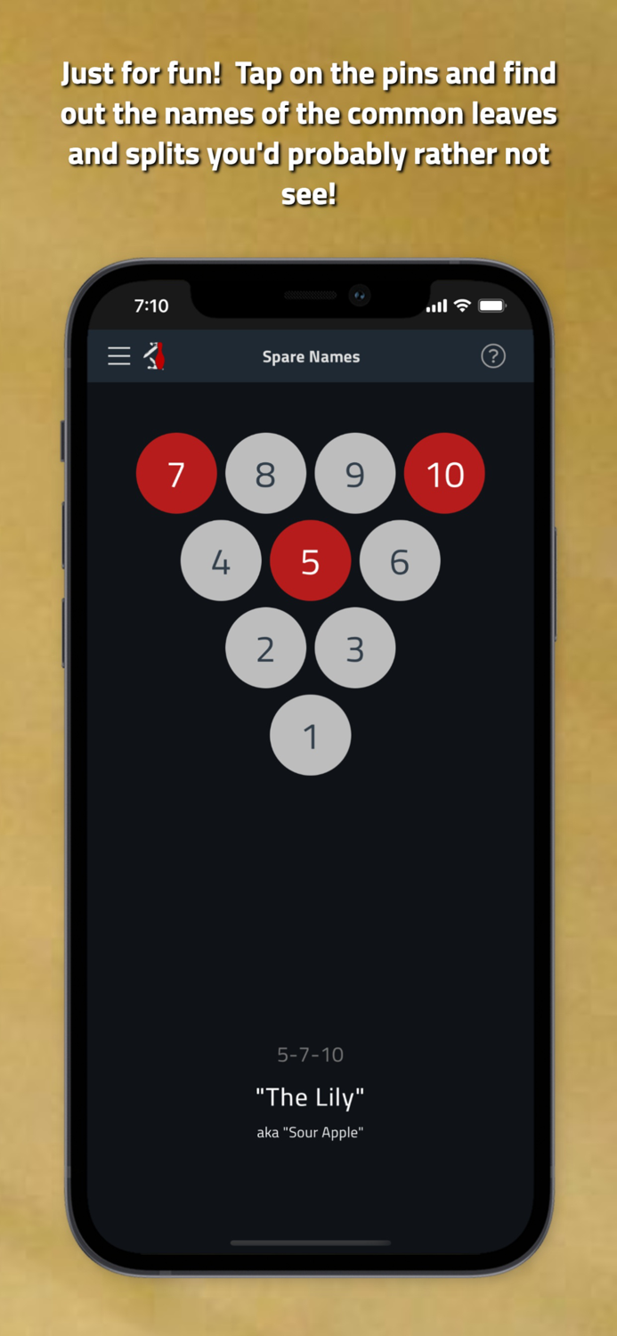 Tenpin Toolkit Bowling Tools