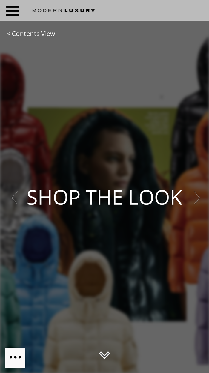 Modern Luxury Silicon Valley