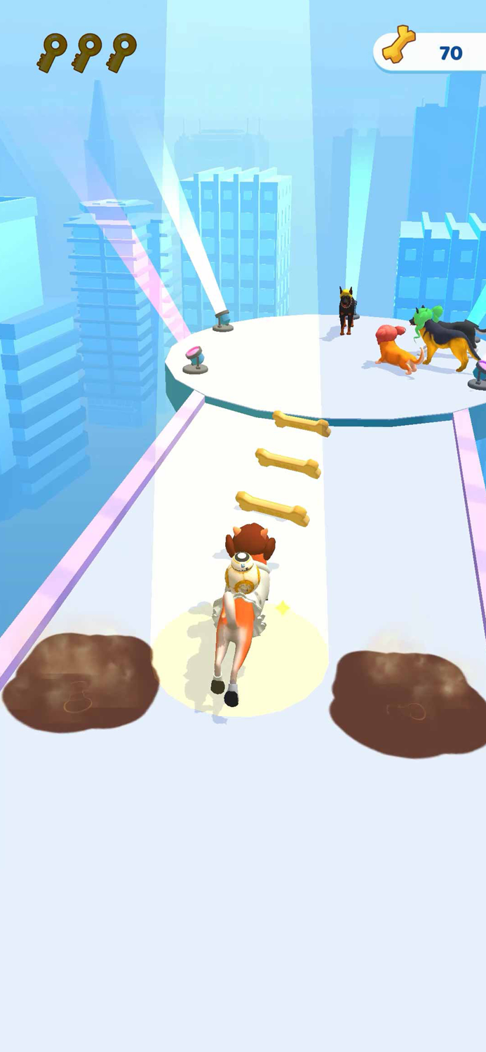 Groomer run 3D