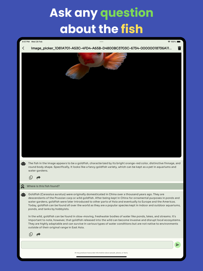 Fish identifier 2024