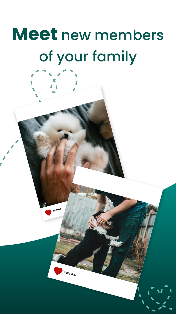 Pet Match - Breeding Adoption