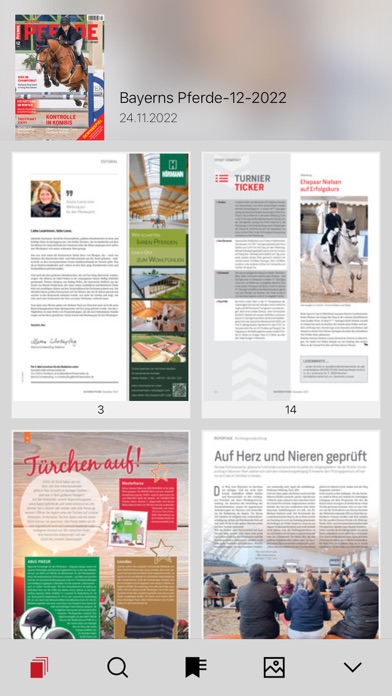 BAYERNS PFERDE E-Paper Screenshot