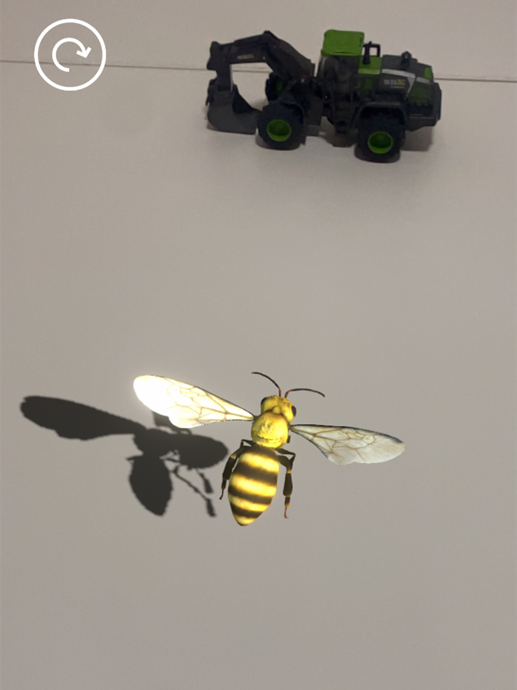 Insectes AR