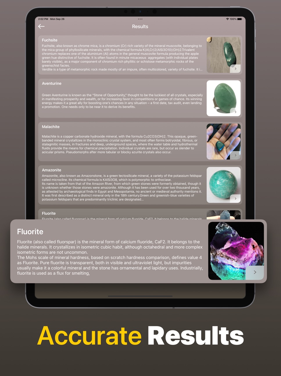 iPad screenshot