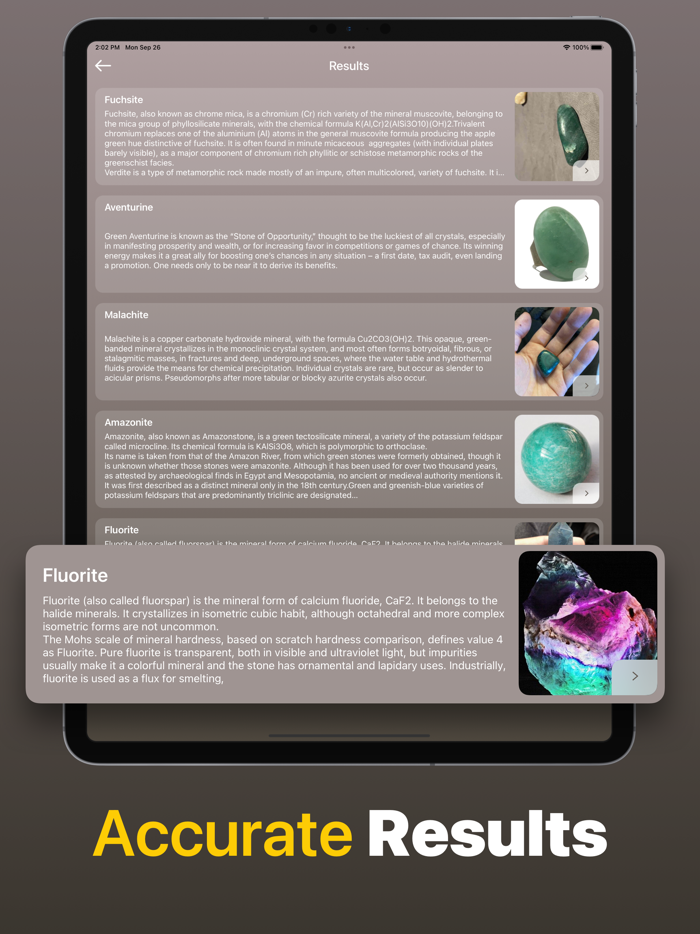 Stone Identifier Rock Scanner