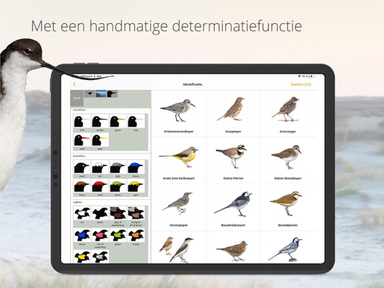 Vogels van Nederland en België iPad app afbeelding 10