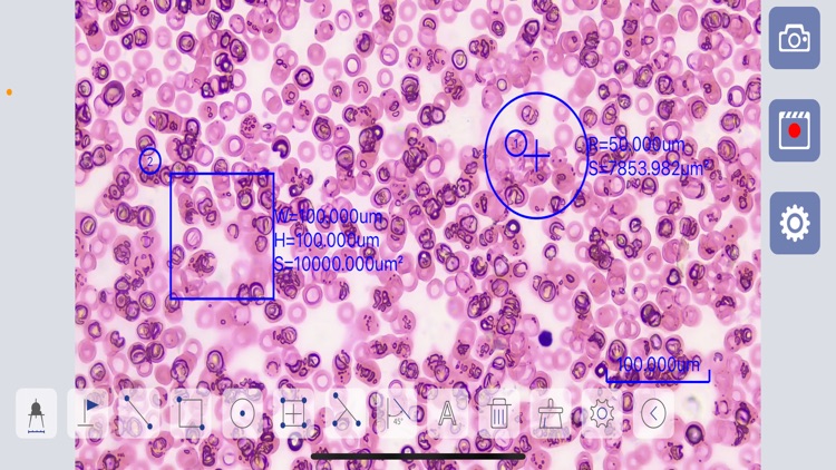 SunnyScope screenshot-4