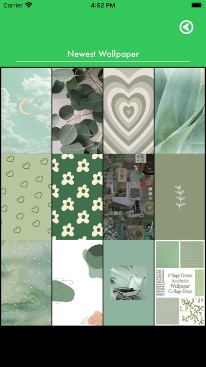 Sage Green Aesthetic Wallpaper