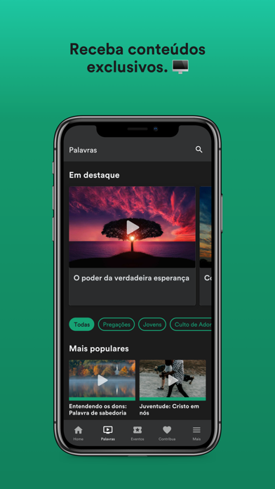 IP Raízes Screenshot