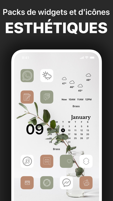Brass - Icônes & Widgets Brass - Icônes & Widgets