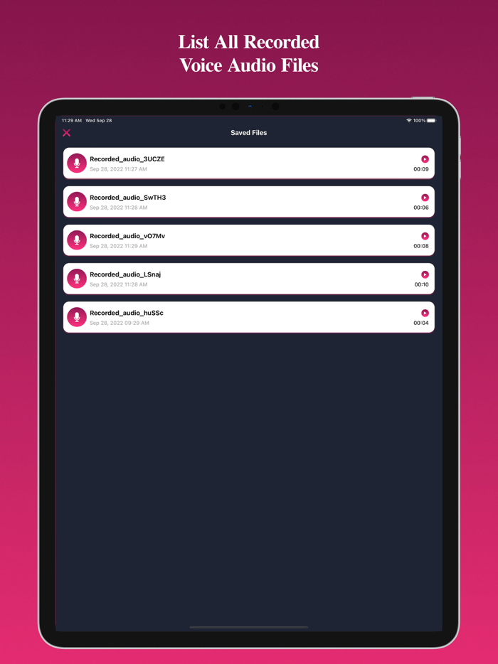 Voice Recorder Voice Record