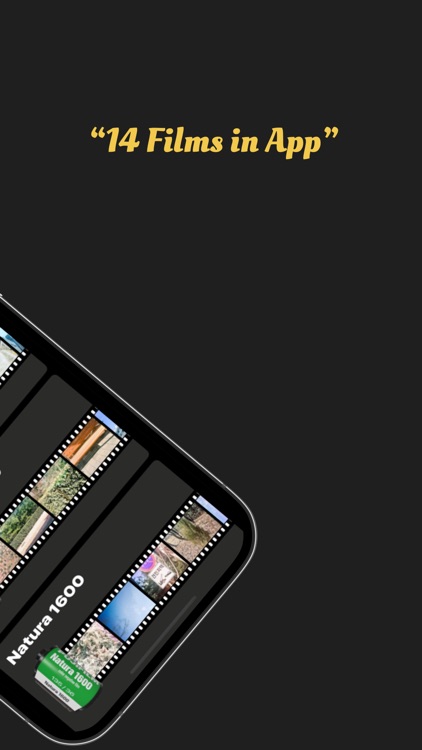 PIPCA - film camera screenshot-5