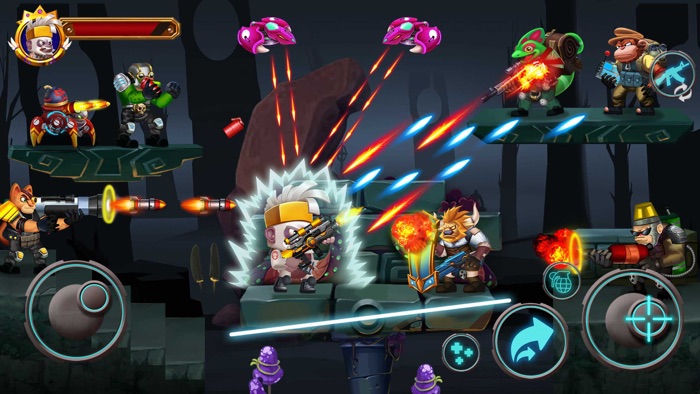 Zoo Combat - Battle Survive