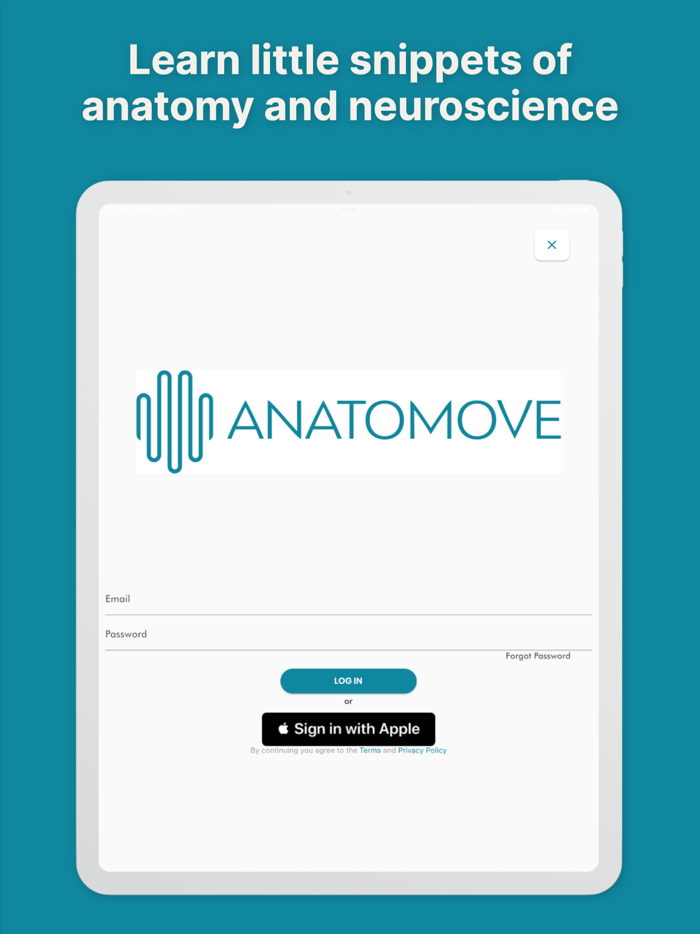 AnatoMove by Celest Pereira