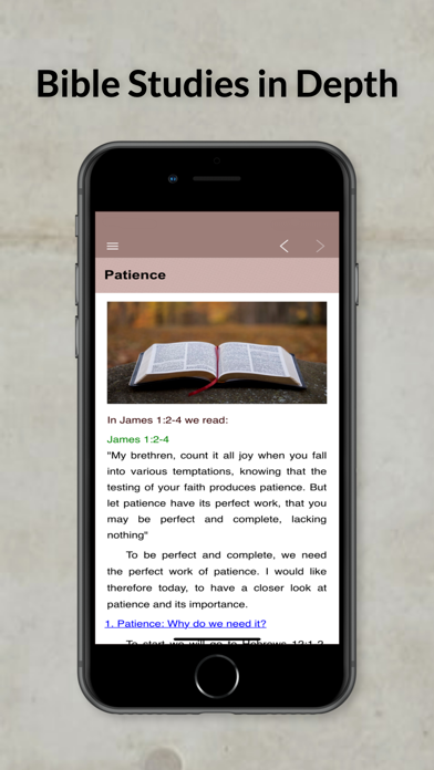 Bible Studies in Depth Daily Screenshot