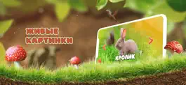 Game screenshot Изучение животных hack
