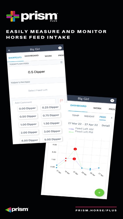 Prism Plus screenshot-4