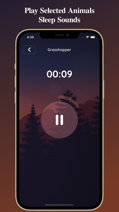 Sleep Sounds and Meditations Screenshot