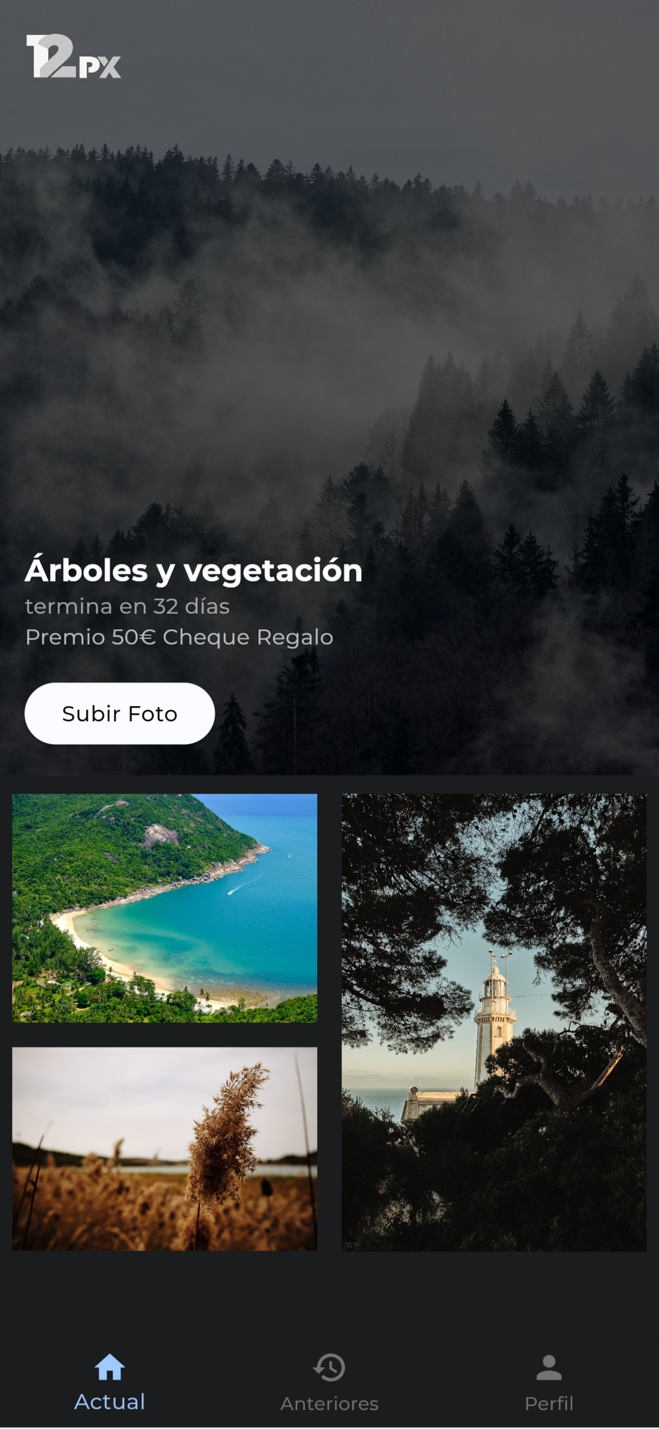 12px Desafíos Fotográficos