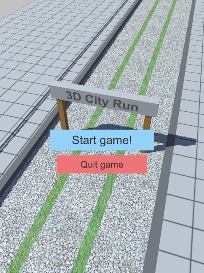 3D Endless City Run