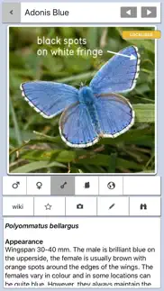 butterfly guide - europe iphone screenshot 4