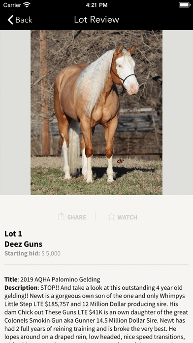 Legacy Horse Sales Screenshot