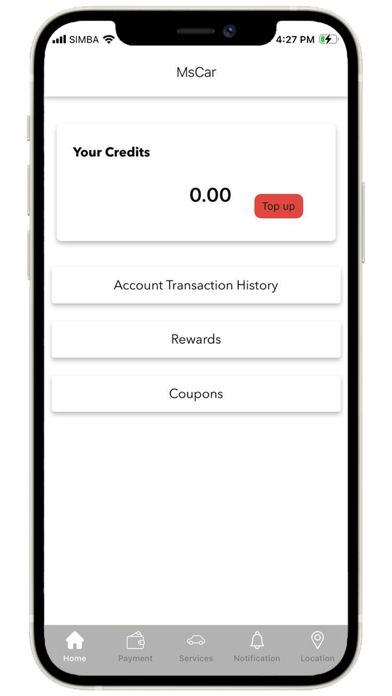 MsCarAuto Screenshot