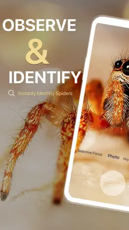 Game screenshot Spiders Identifier by Photo ID mod apk