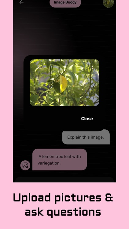 AI Buddy: Ask PDF & Images screenshot-3