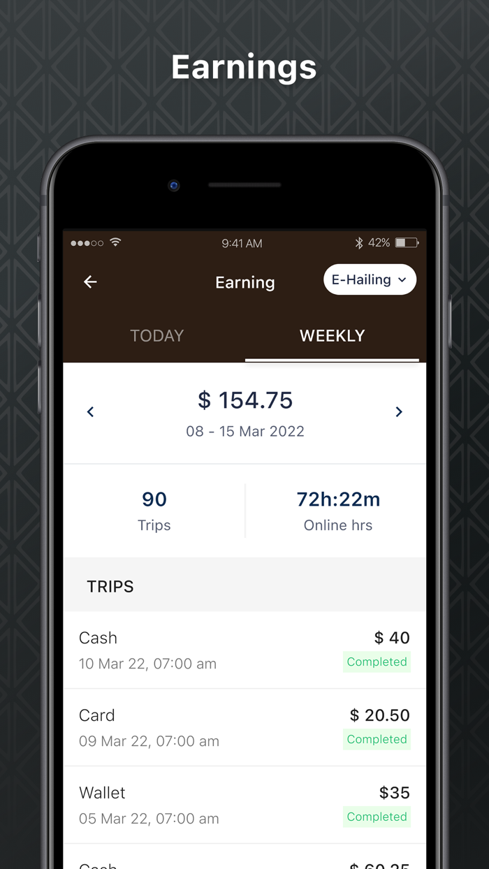 Tieu Trung Sai Driver