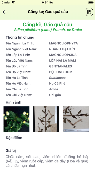 VQG Việt Nam Screenshot