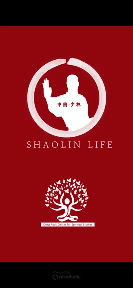 Game screenshot Shaolin Life mod apk