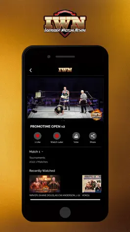 Game screenshot IWN Wrestling apk
