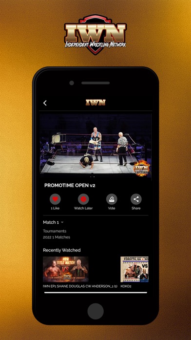 IWN Wrestling Screenshot